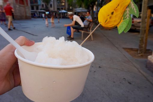 Kakigori de Melón